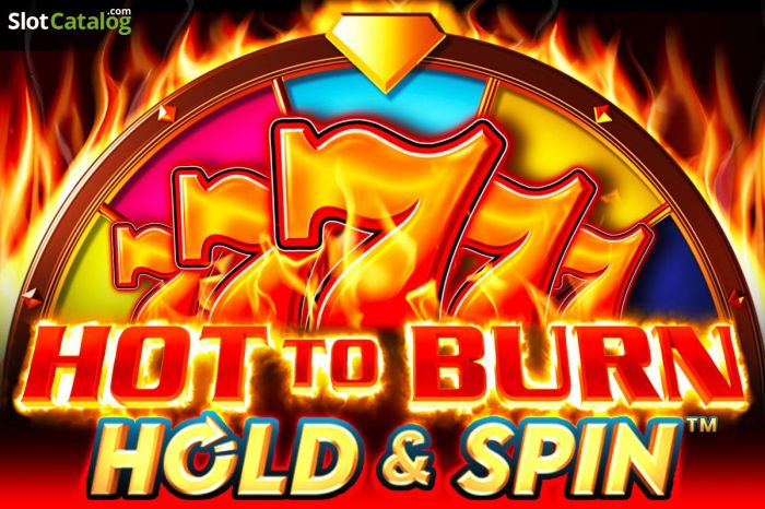 Review Slot Hot to Burn Hold and Spin